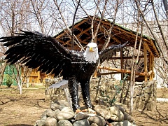 Кованый орел